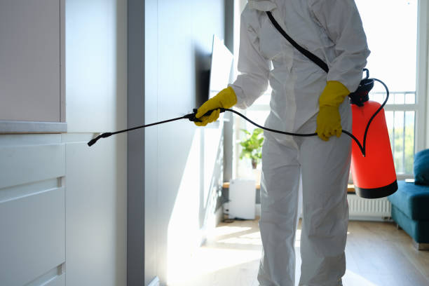 Best Professional Mold Removal  in Uniontown, PA